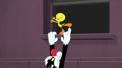 Imagen de Looney Tunes... (T5): Del cielo al suelo / El vendedor de globos: Un globo más / El demonio en el fondo del mar - 2