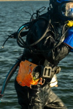 Imagen de La pesca del oro (T19): Último suspiro por el oro - Parte 1 - 1