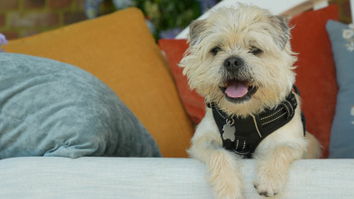 Imagen de The Dog House (T7): Ep.3 - 2