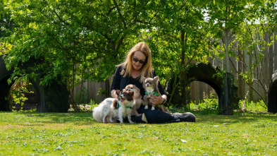 Imagen de The Dog House (T7): Ep.4 - 2