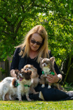 Imagen de The Dog House (T7): Ep.4 - 1