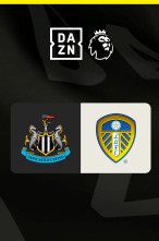 Imagen de Jornada 21: Newcastle - Leeds - 1