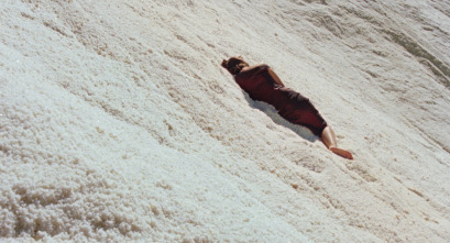 Imagen de La soledad de los lagartos - 8