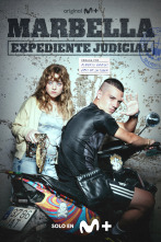 Imagen de Marbella. Expediente judicial (T2) - 8