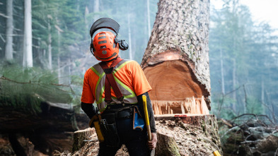 Imagen de Los últimos... (T2): El rey de la costa - 2