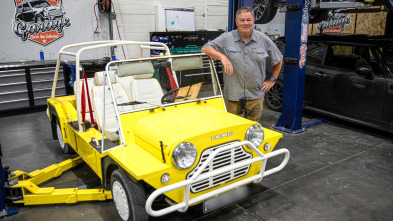 Imagen de Joyas sobre... (T2): México: Baja Bug - 2