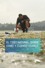 Imagen de El cebo natural: donde, cómo y cuándo usarlo - 2