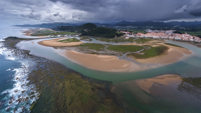 Imagen de El cebo natural: donde, cómo y cuándo usarlo - 5