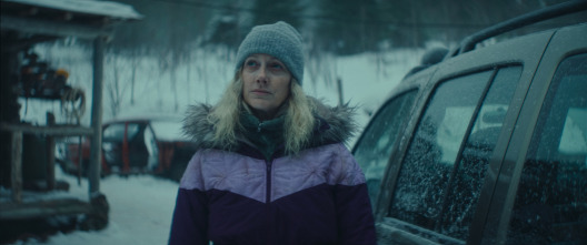 Imagen de Muerte en la nieve - 6