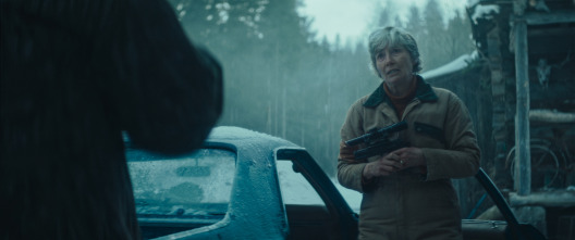 Imagen de Muerte en la nieve - 7