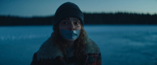 Imagen de Muerte en la nieve - 9