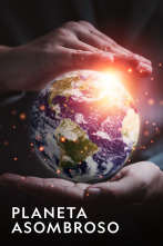 Imagen de Planeta asombroso  - 1