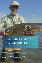 Imagen de Carpas de otoño en Valmayor - 1