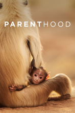 Imagen de Parenthood - 1