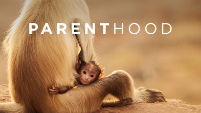 Imagen de Parenthood - 2