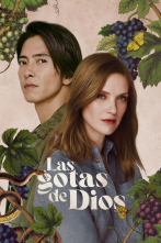 Imagen de Las gotas de Dios (T2) - 1