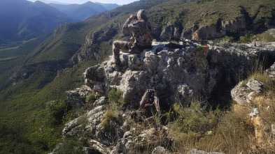 Imagen de Dos lances, dos flechas - 3