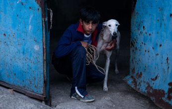 Imagen de Ciudad sin sueño - 6