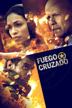 Imagen de Fuego cruzado - 1