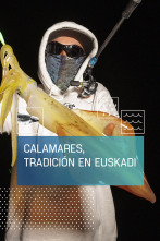 Imagen de Calamares, tradición en Euskadi - 1