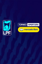 Imagen de Liga Argentina. Torneo Apertura - 1