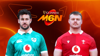 Imagen de Jornada 4: Irlanda - Gales - 2