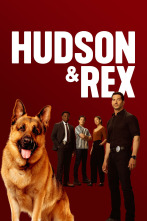 Imagen de Hudson & Rex (T8): Ep.2  - 2