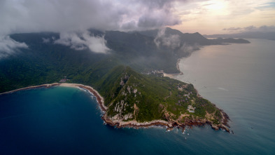 Imagen de China Salvaje: Cantón  - 5