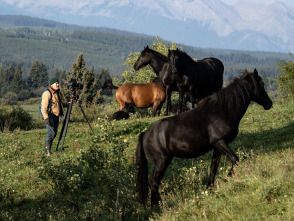 Imagen de Aventura a caballo con Gordon Buchanan - 10