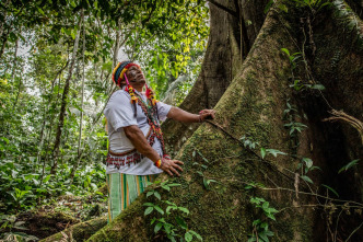 Imagen de Acciones contra el cambio climático - 5