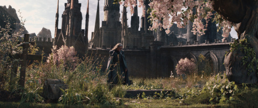 Imagen de Drácula - 10