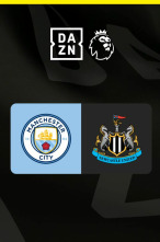 Imagen de Jornada 27: Manchester City - Newcastle - 1