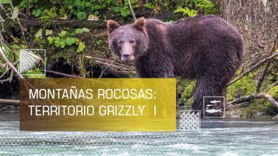 Imagen de Montañas rocosas, territorio grizzly 1 - 2