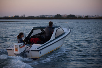 Imagen de Los Tigres - 11