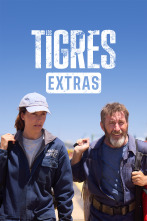 Imagen de Los Tigres (Extras) (T1) - 1