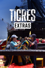 Imagen de Los Tigres (Extras) (T1): Cinema Verité - 1