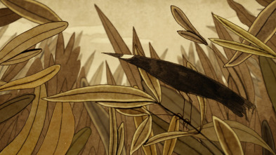 Imagen de Perro solitario - 8