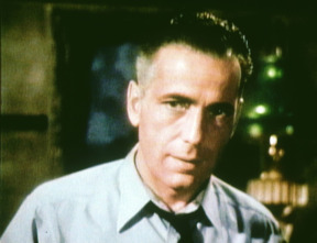 Imagen de El último refugio - 14