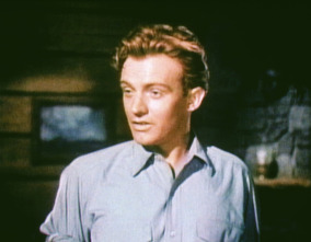 Imagen de El último refugio - 16