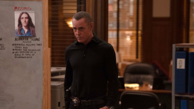 Imagen de Chicago P.D. (T13): Ep.8 Nacido gritando - 1