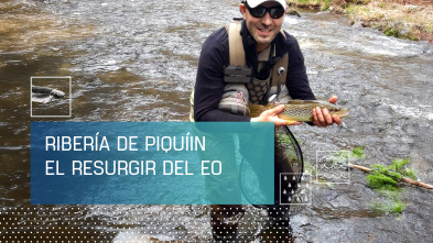 Imagen de Ribeira de Piquín: el resurgir del Eo - 2