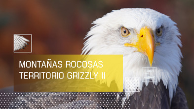 Imagen de Montañas rocosas, territorio grizzly 2 - 2