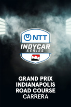 Imagen de Carrera: Grand Prix of  IMS Road Course - 1
