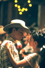 Imagen de Todos los caballos bellos - 14