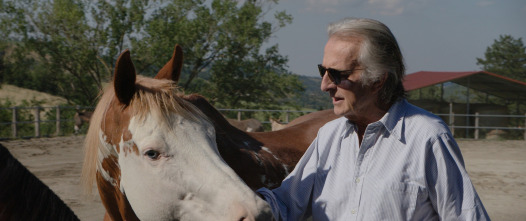 Imagen de Montezemolo: corazón rojo - 15