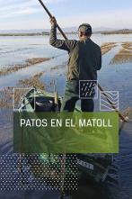 Imagen de Patos en El Matoll - 1