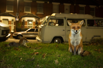 Imagen de Londres salvaje - 10