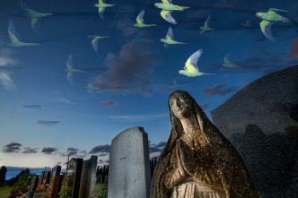 Imagen de Londres salvaje - 11