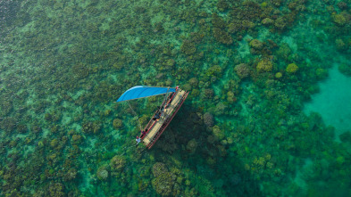 Imagen de De polo a polo con...: El Amazonas: criaturas letales - 1
