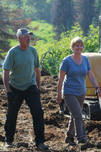 Imagen de Construyendo Alaska: Mi vida en tus manos - 1